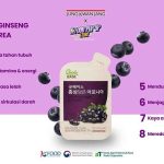 Bermacam Khasiat Ginseng Merah Korea JungKwanJang untuk Kesehatan
